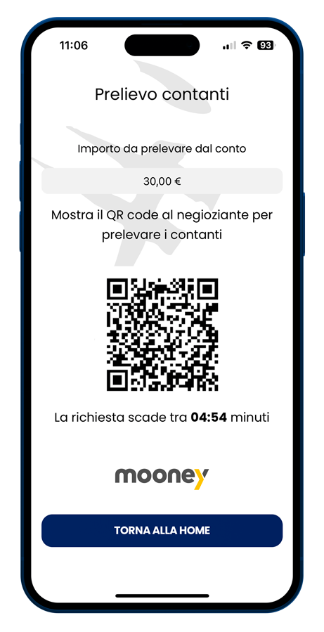 Mooney Finint Private Bank mockup3